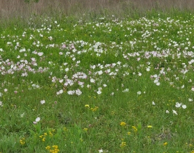 2267 County Road 3025 - Photo Thumbnail 9