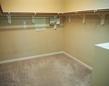 28607 Green Hedge Drive - Photo Thumbnail 17