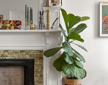 274 Hancock Street - Photo Thumbnail 1
