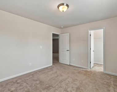 8147 Feldwig - Photo Thumbnail 20