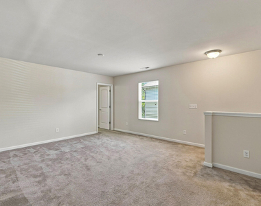 8147 Feldwig - Photo Thumbnail 16