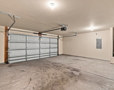 8147 Feldwig - Photo Thumbnail 14