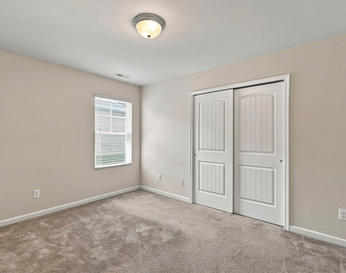 8147 Feldwig - Photo Thumbnail 17