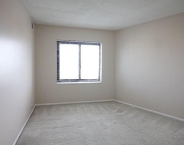 307 Yoakum Parkway - Photo Thumbnail 12