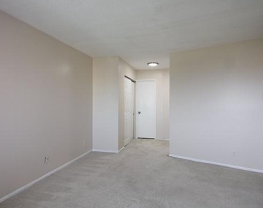 307 Yoakum Parkway - Photo Thumbnail 11