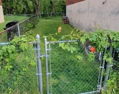 9479 Woodbridge Road - Photo Thumbnail 16