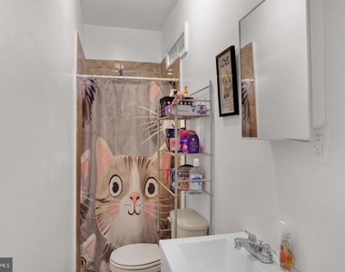 833 Green Street - Photo Thumbnail 8