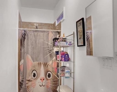 833 Green Street - Photo Thumbnail 9