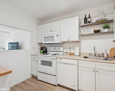211 E Ohio Street - Photo Thumbnail 7