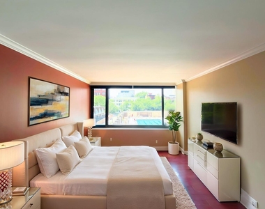 1555 N Sandburg Terrace - Photo Thumbnail 14