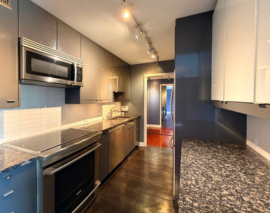 1555 N Sandburg Terrace - Photo Thumbnail 8