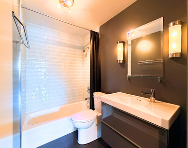 1555 N Sandburg Terrace - Photo Thumbnail 21