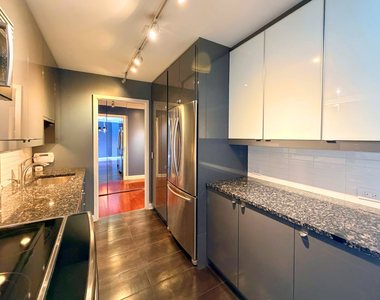 1555 N Sandburg Terrace - Photo Thumbnail 10
