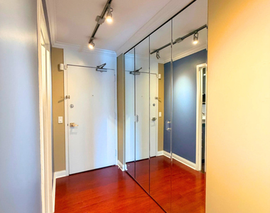 1555 N Sandburg Terrace - Photo Thumbnail 15