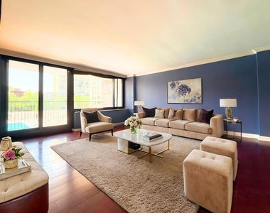 1555 N Sandburg Terrace - Photo Thumbnail 9