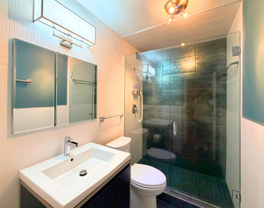 1555 N Sandburg Terrace - Photo Thumbnail 19