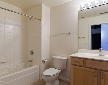 933 W Van Buren Street - Photo Thumbnail 13