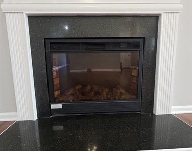 3352 Castleberry Village Circle - Photo Thumbnail 3