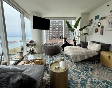 500 N Lake Shore Drive - Photo Thumbnail 5