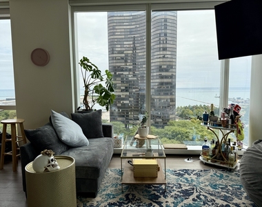500 N Lake Shore Drive - Photo Thumbnail 6