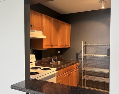 7337 S South Shore Drive - Photo Thumbnail 6