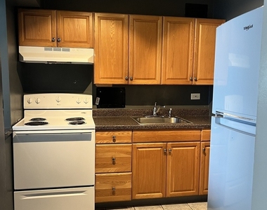 7337 S South Shore Drive - Photo Thumbnail 12