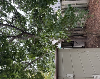 1109 Blackburn Drive - Photo Thumbnail 29