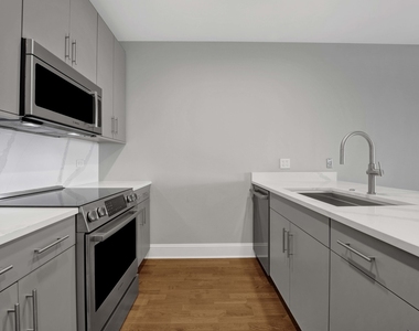 850 N Lake Shore Drive - Photo Thumbnail 12