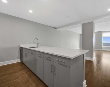 850 N Lake Shore Drive - Photo Thumbnail 9