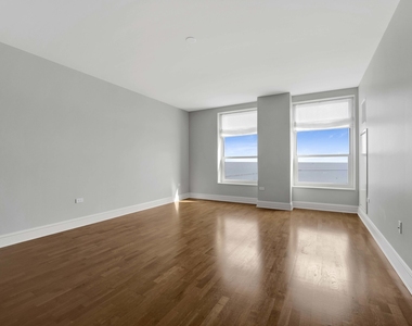 850 N Lake Shore Drive - Photo Thumbnail 4