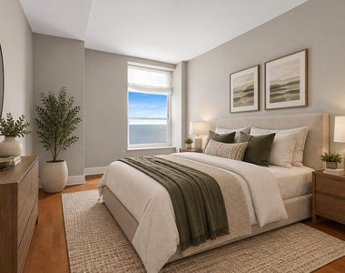 850 N Lake Shore Drive - Photo Thumbnail 17