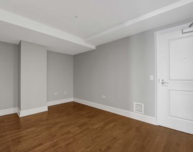 850 N Lake Shore Drive - Photo Thumbnail 15