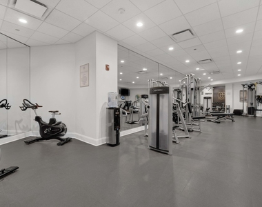 850 N Lake Shore Drive - Photo Thumbnail 30