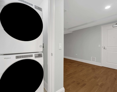 850 N Lake Shore Drive - Photo Thumbnail 23