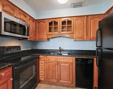 4859 Coquina Key Drive Se - Photo Thumbnail 9