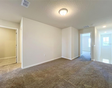 10678 Evening Star Street - Photo Thumbnail 29