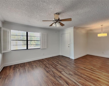 3102 W Horatio Street - Photo Thumbnail 2