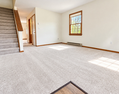 13 Holt Street - Photo Thumbnail 2
