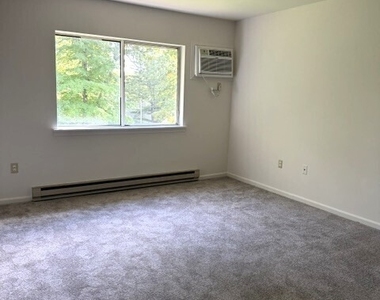 28 Rose Lane - Photo Thumbnail 6