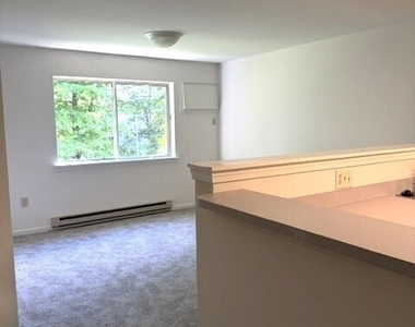 28 Rose Lane - Photo Thumbnail 3