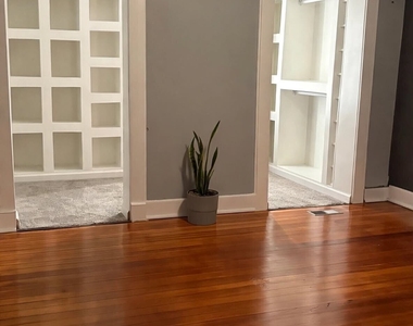 62 Colony Street - Photo Thumbnail 8