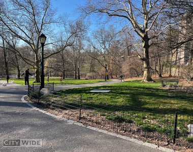 4 West 103rd Street - Photo Thumbnail 4