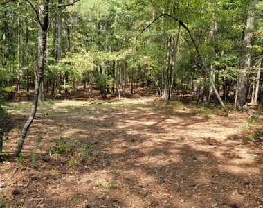 3941 Lake Carlton Road S - Photo Thumbnail 9