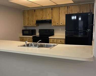 1407 White Pine Drive - Photo Thumbnail 4