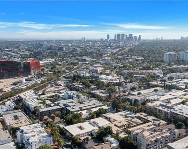 970 Palm - Photo Thumbnail 35