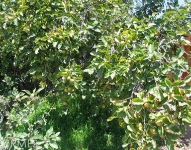 15231 Caravaca Road - Photo Thumbnail 13