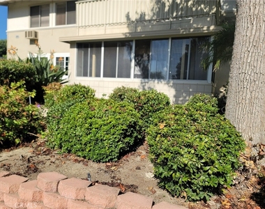 353 Avenida Sevilla - Photo Thumbnail 2