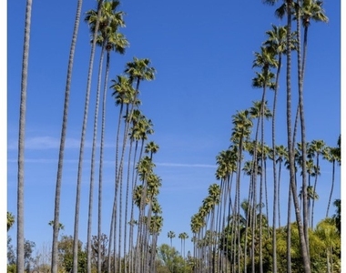 215 Altura Drive - Photo Thumbnail 1