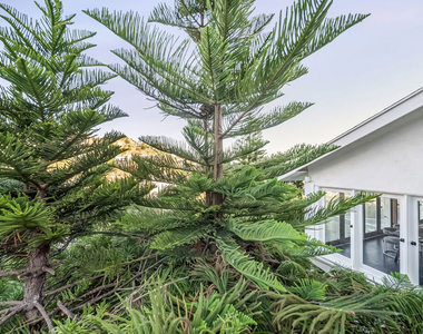 8874 Evanview Drive - Photo Thumbnail 40