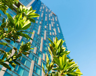 889 Francisco Street - Photo Thumbnail 18